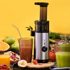 Bear 500ml Slow Juicer 