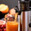 Bear 500ml Slow Juicer 