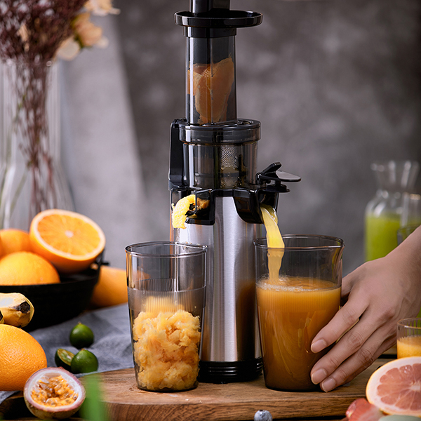 Bear 500ml Slow Juicer 